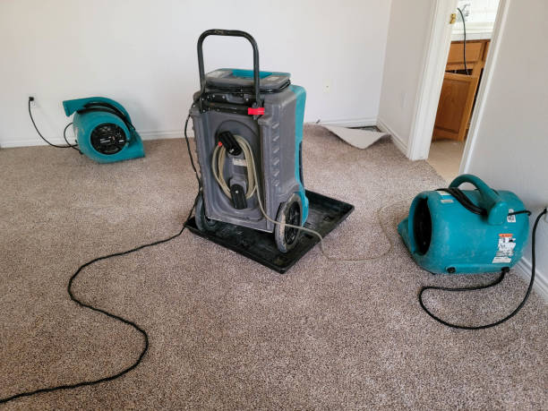 Best Water damage restoration near me  in Corvallis, MT