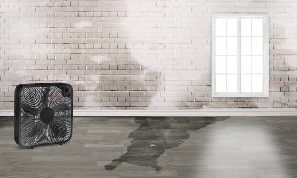 Water damage restoration process in Corvallis, MT
