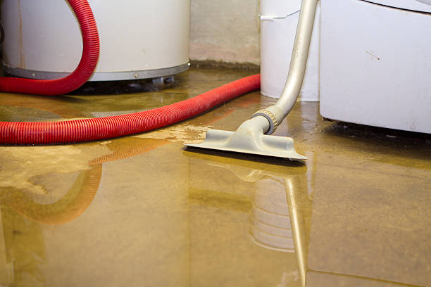 Best Local water damage restoration  in Corvallis, MT