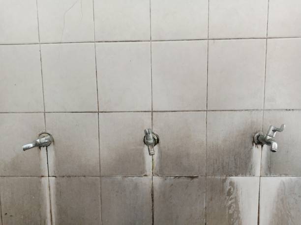 Carpet water damage restoration in Corvallis, MT
