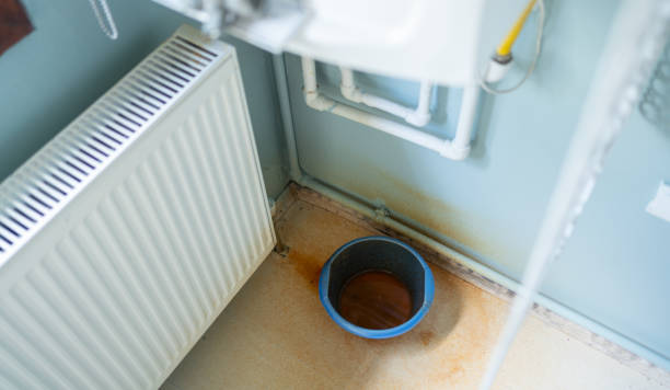 Best Water damage restoration cost  in Corvallis, MT