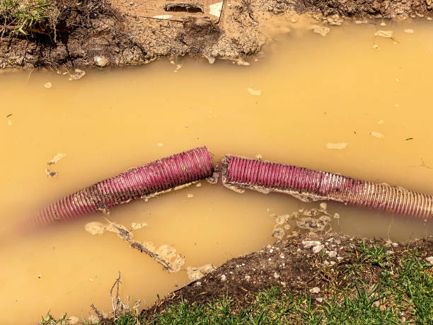 Best Water damage cleanup near me  in Corvallis, MT